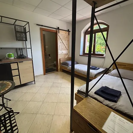 Apartment Sebe 5